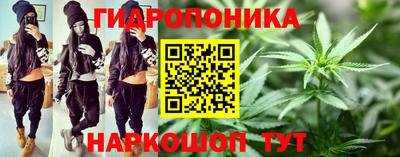 мяу мяу мука Славянск-на-Кубани