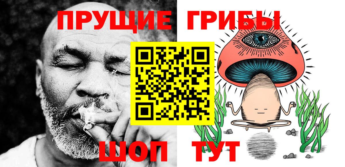Мыски  Галлюциногенные грибы Psilocybe  Вход с VPN 