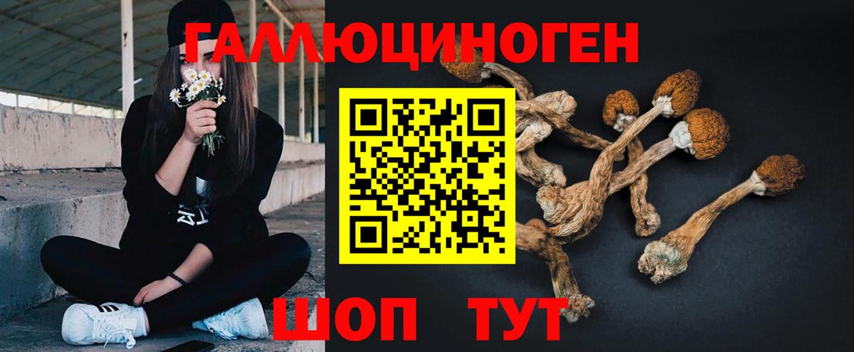 Псилоцибиновые грибы GOLDEN TEACHER Мыски